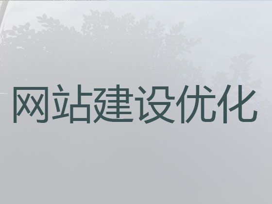 九江市专业网站开发|购物网站开发建设，价格透明
