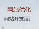 丽水市短视频推广#商城网站开发设计，高端网站开发设计
