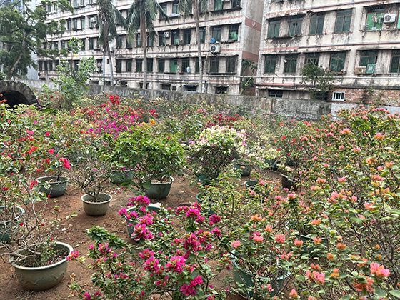 太阳在日出日落时为何会呈现出丰富的橙色与红色色调？