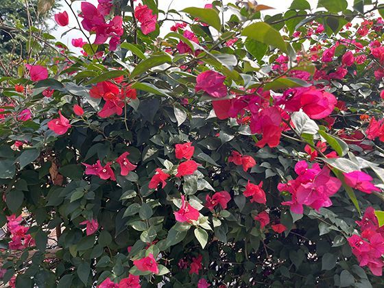 2026年社保缴费基数将如何调整，对个人工资有何影响？