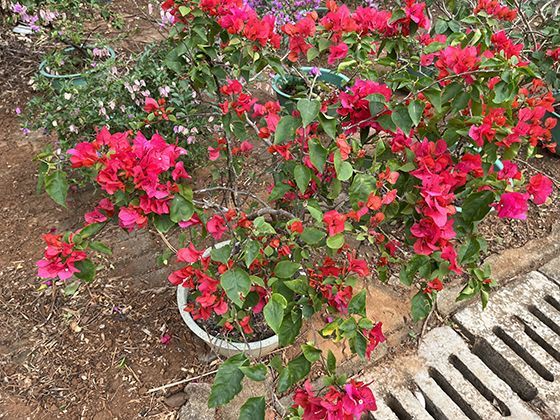 怀璧其罪：探究古代因宝物而招致祸患的经典历史典故