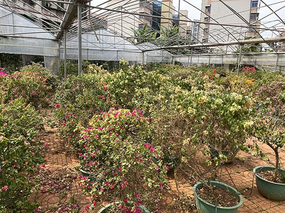 中国智造的发展如何潜移默化地改变我们的生活方式与观念？