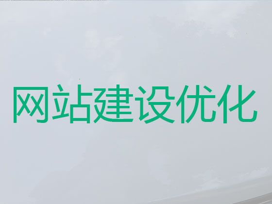 漯河市网站建设本地公司|企业获客渠道，专业开发团队