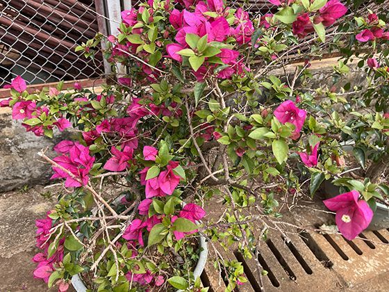 家庭常见节能技巧有哪些，真能显著降低能源消耗吗？