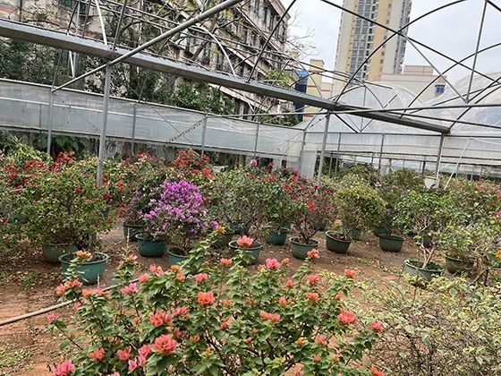 海市蜃楼的折射原理：温度梯度怎样扭曲光线创造远方幻景