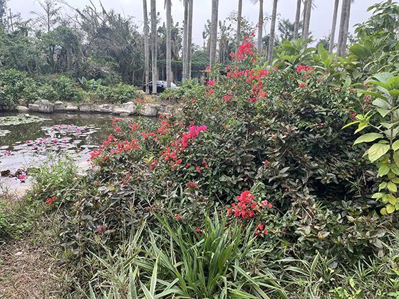 2026年春运购票方式有变化吗？今日起可以尝试哪些新渠道？