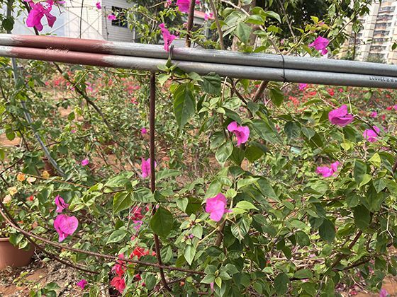 一文解读2026年养老金调整机制，如何保障退休生活