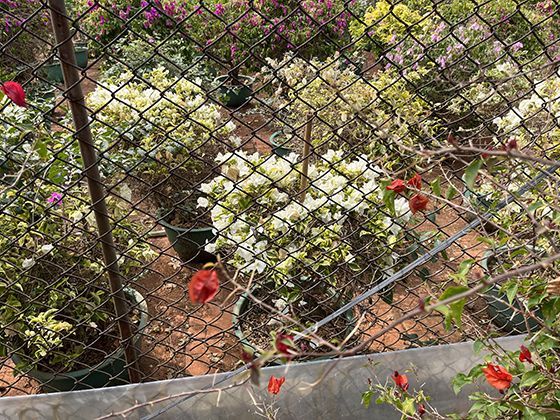 数字游民与灵活就业成为趋势，个人需要做好哪些准备？