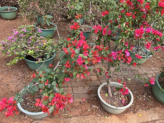 开放式与封闭式：两种耳机结构如何影响声场自然度