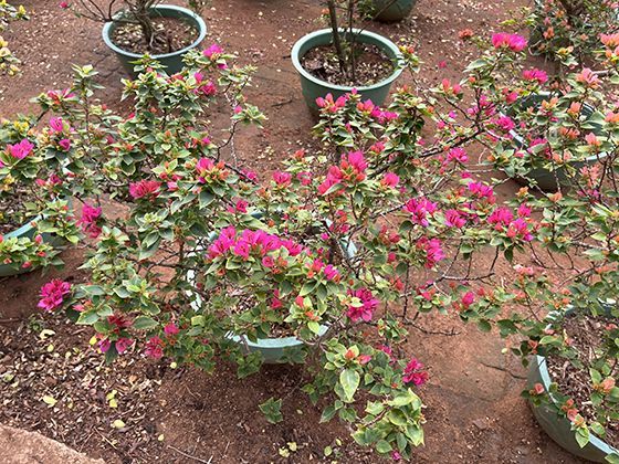 2026年申请失能老人护理补贴需要准备哪些评估材料