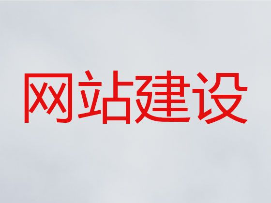 杭州市AI数字人直播带货&专业网站开发，企业解决方案