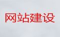 杭州市AI数字人直播带货&专业网站开发，企业解决方案