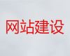 杭州市AI数字人直播带货&专业网站开发，企业解决方案